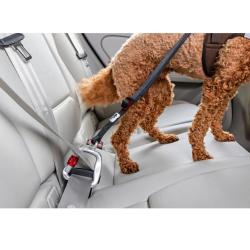 Curli Sikkerhedssele