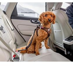 Nem montering i bilens sikkerhedssele – Hold din hund sikkert fast