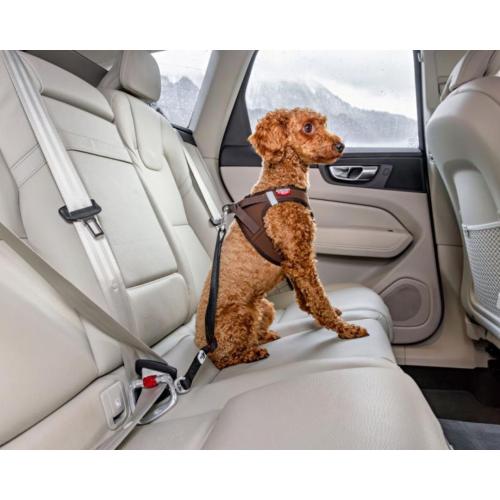 Curli sikkerhedsbælte – Sikker og tryg transport for små hunde