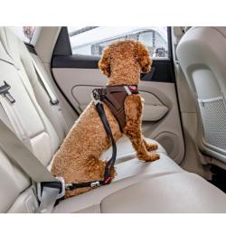 Curli sikkerhedsbælte – Sikker og tryg transport for store hunde