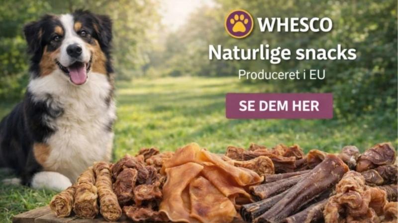 Natur snacks til hund