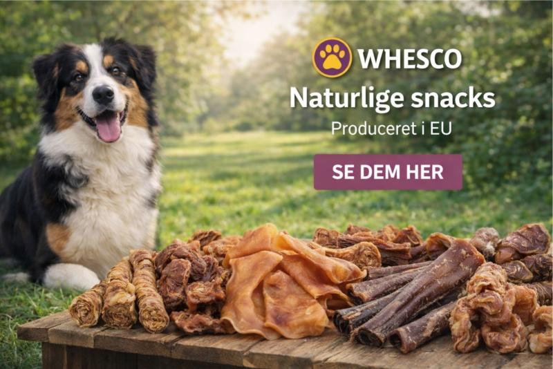 Natur snacks til hund