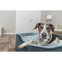Trixie SOFT Edition hundeseng i grå med blød liggeflade til hund