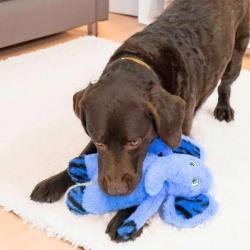 Blå KONG elefant med squeaker og knitrelyde