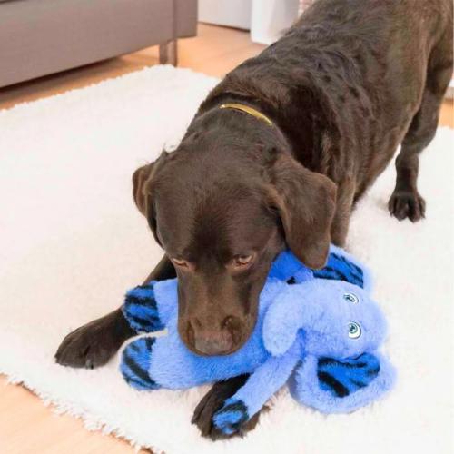 Blå KONG elefant med squeaker og knitrelyde