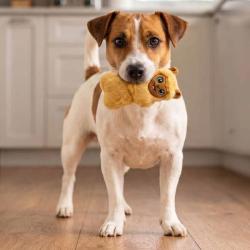 Blød KONG lama med squeaker til små hunde
