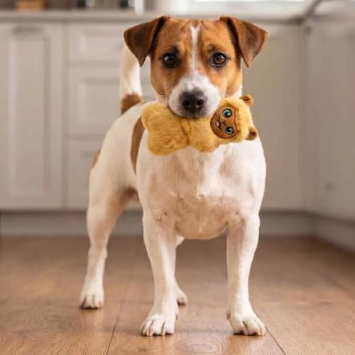 Blød KONG lama med squeaker til små hunde