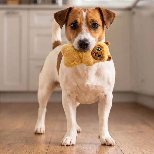 Blød KONG lama med squeaker til små hunde