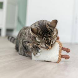 Stor toast bamse til kat med catnip
