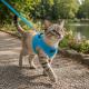 Puppia kattesele med step-in design
