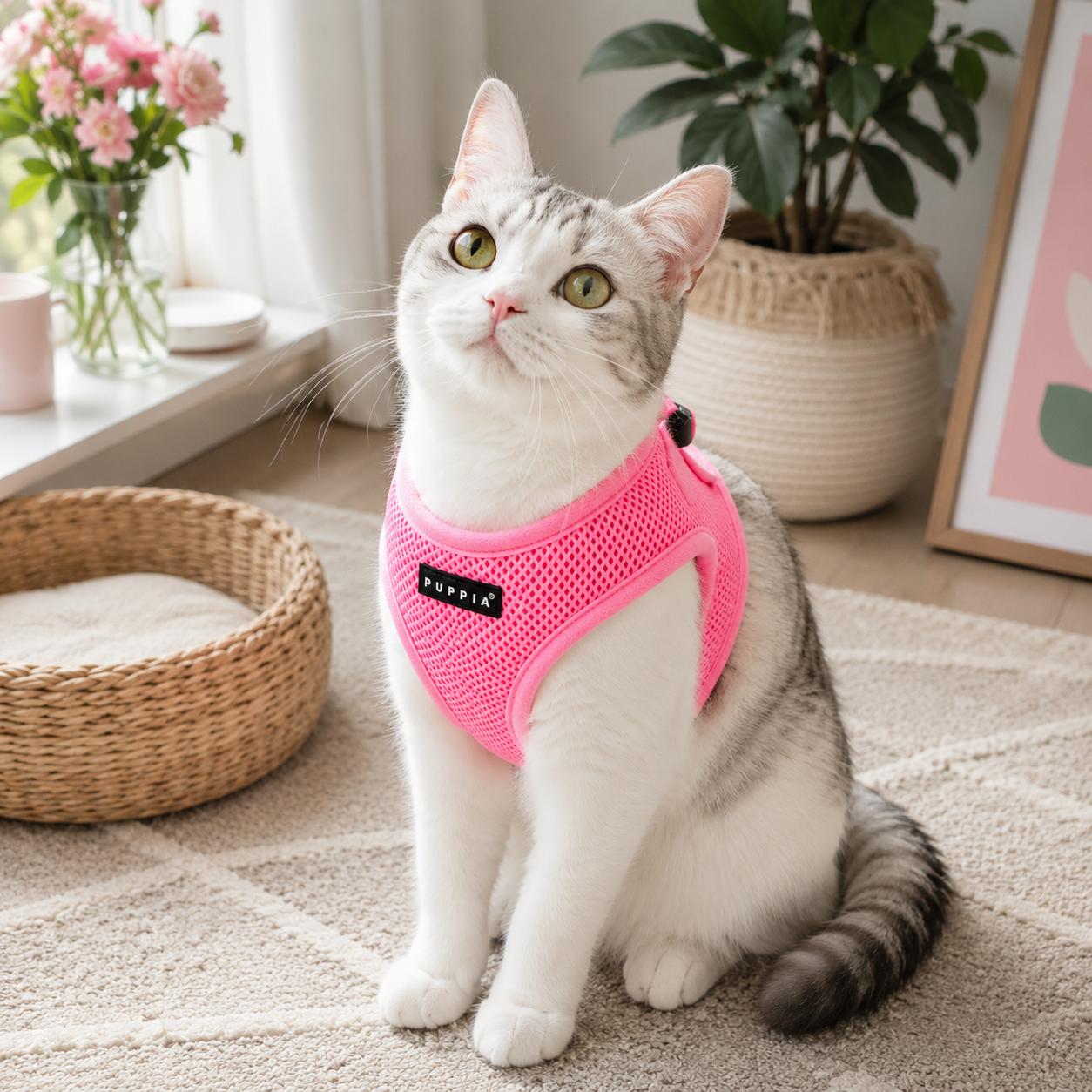 Kat i Puppia sele udendørs