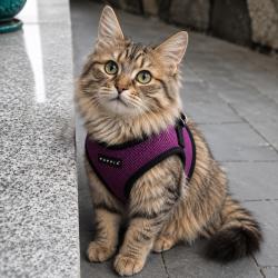 Puppia sele til kat i lilla