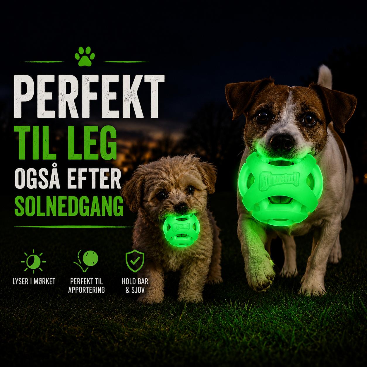 Chuckit Air Glow Fetch Ball 2-pak godbidbold til apport