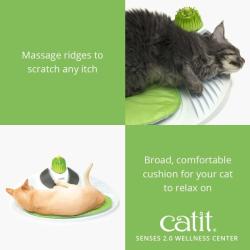 Massage- og plejecenter til kat med pude