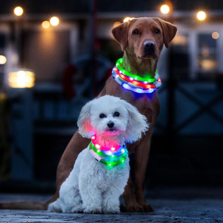 Blåt lysende halsbånd til hund fra Dogman