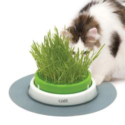 Catit Senses Grass Planter til kattegræs