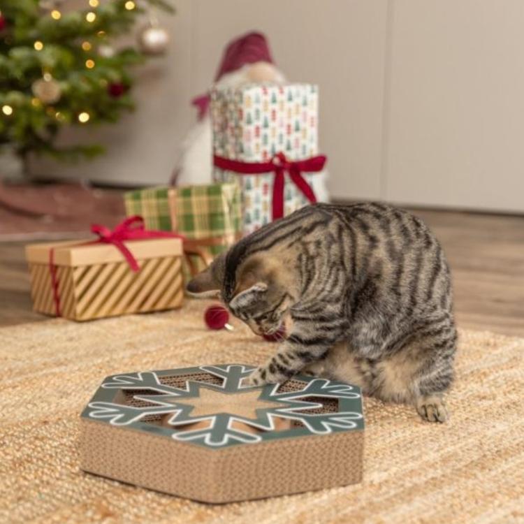 Julelegetøj til kat med bolde og bjælde fra Trixie