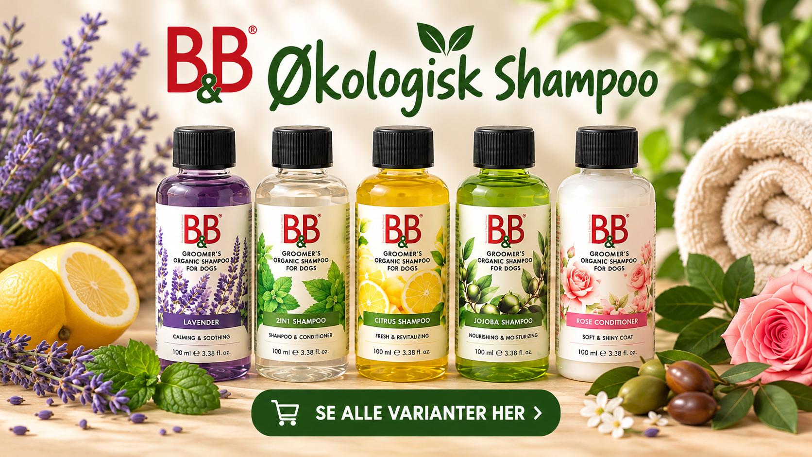 B&B Shampoo