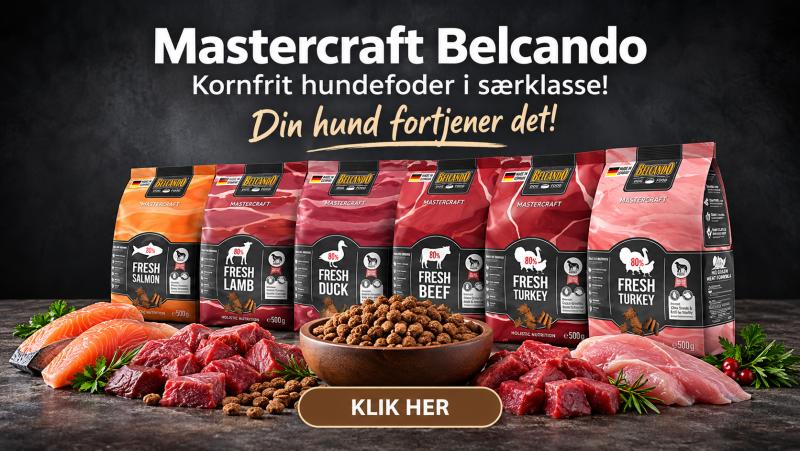 Hundefoder