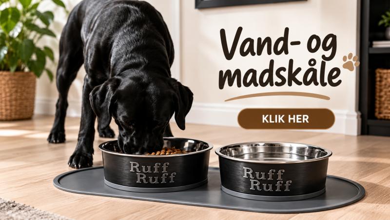 Vand og madskåle