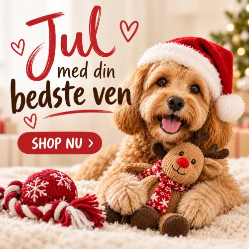Jul med din bedste ven