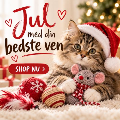 Jul med din bedste ven
