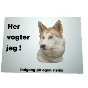 Advarsels skilt Siberian Husky slædehund