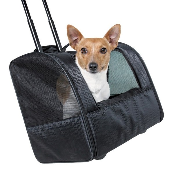 Elegance Transport af små hunde - Til rejser, bustur eller tog