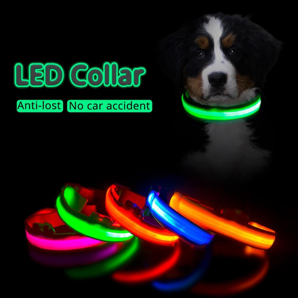 levering Almindeligt lancering Lyshalsbånd til den mørke tid - Gør din hund trafiksikker med lys