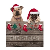 Julekalender og julelegetøj hund