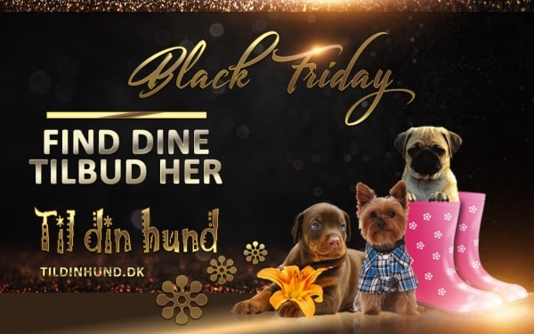 Wrap Blitz Repressalier BLACK FRIDAY til din hund. Spar mange penge på alle gode tilbud