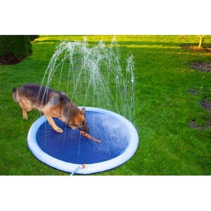 Companion Dog Splash Sprinkle Pad ø150