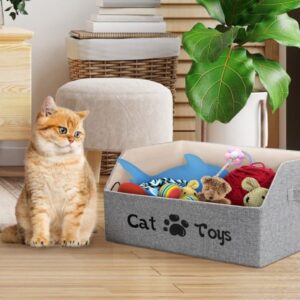 Mystery Cat Toy Box